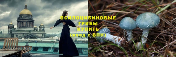 ECSTASY Алзамай