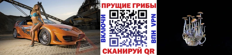 Псилоцибиновые грибы прущие грибы  Артёмовск 